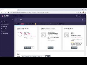 42Crunch API Security Platform: Getting Started with Security Audit
