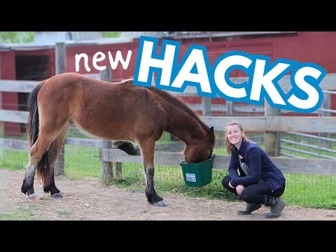 Testing Useful Horse Hacks