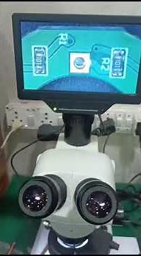 Stereozoom Trinocular Microscopes