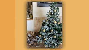 5.3K views · 109 reactions | How to flock a Christmas tree so it looks like it's covered in snow, according to co-host of "The Great Christmas Light Fight," Carter Oosterhouse. | Rachael Ray Show | Facebook