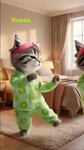 🐈 Kitty dances Venus 🥝 #dancingkittens #dressed #kiwi #pajamas #headband #bedroom #ShockingBlue