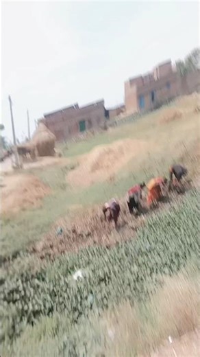 #tu Hai 300 wale kaise Ban mein ghar wali Java jile mein haliya ka#amlesh Lal Yadav