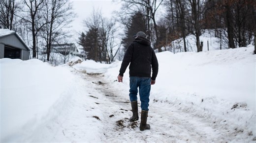 Oneida County farmer devastated by collapsed barn and death of nearly 60 cows