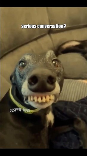 🤣 The Funniest Video You'll See Today 🤣