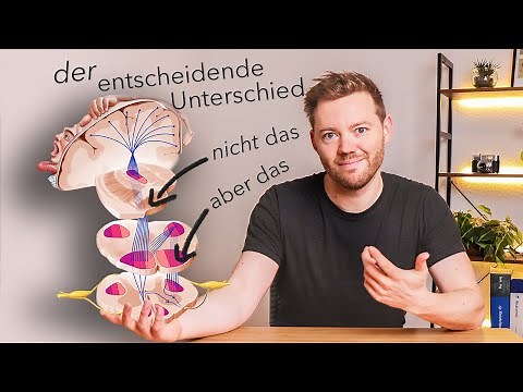 Pyramidal tract (vs. extrapyramidal) - course and function