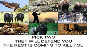 This Meme Broke Our Office