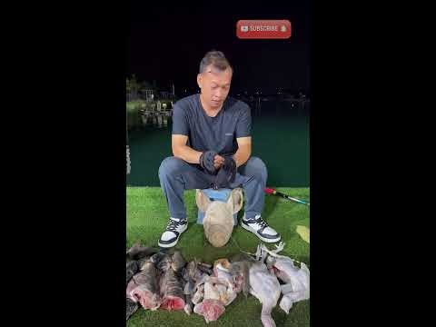 Greedy fish took two hooks ✌️ | 황당한낚시 | おもしろ釣り