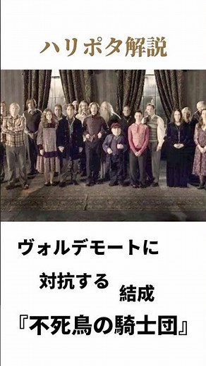 【ハリー・ポッター雑学】不死鳥の騎士団の実態と歴史 #ハリーポッター