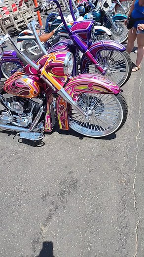 Custom Harley Davidson Motorcycles Showcase