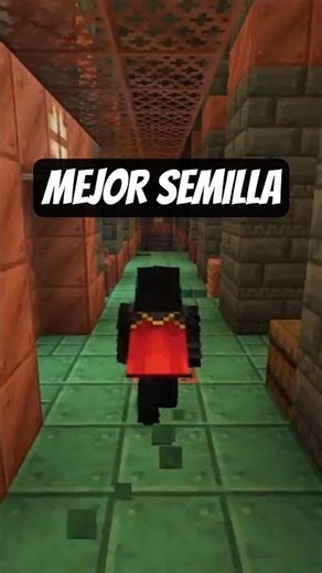 BEST Minecraft 1.21 Seed