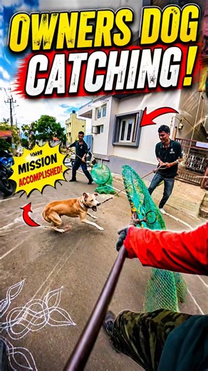 Aggressive Dog Catch For Vaccination #shorts #ytviral #ytshorts #pets #dog