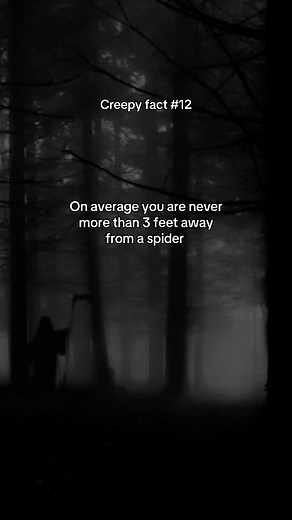 Creepy Fact About Spiders You Should Know