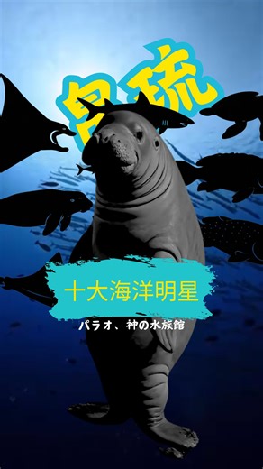 台客潛水｜恆春墾丁潛水課程 on Instagram: "在帛琉你會看到👀 1.鬼蝠魟 出場自帶氣場，震攝四方 2.灰礁鯊 水流越強，出現率越高 3.梭魚群 秩序感最強的魚群 4.傑克魚群 成群像是龍卷風，散開白天成黑夜 5.蘇眉 老大級存在，慢慢巡場 6.儒艮 看到會幸運一整年 7.雪花鴨嘴 飛過時，整個畫面如同靜止 8.隆頭鸚哥 體型跟扣桃都很有存在感 9.豹紋鯊 底棲型，遇到是非常幸運 10.海龜 最穩定出現嗎？再多也不嫌多 #帛琉 #潛旅 #水肺潛水 #manta #scubadiving"