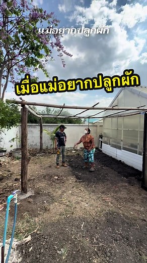 ปลูกผักสวนหลังบ้านขนาด 20 ตรม. สำหรับแม่
