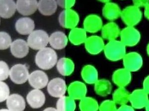 微球，是一种现代工业的基础材料，你正盯着的液晶屏幕，每平方毫米中就有约一百个微球。 - 抖音