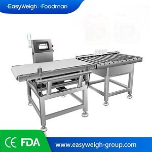 [Hot Item] Easyweigh Heavy Weight Checkweigher Belt Conveyor for Industrial Production