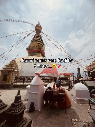 गलत पढेउ कि? मजाकिया नेपালি स्टिकर संवाद