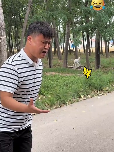 Funny Animal Sounds Prank for Laughter
