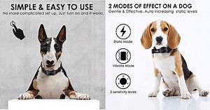 Top 7: Best Bark Collars (Shock Collars Reviews - Amazon) | 2025