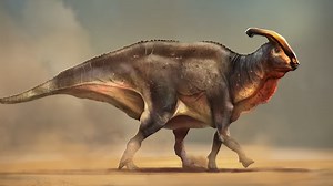 What Parasaurolophus skulls reveal about life in a dangerous ancient world