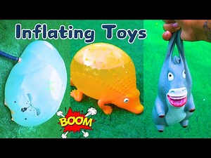 Inflating Toys Until They Blow | Over 10 Super TOYS FLOODED MY GARDEN