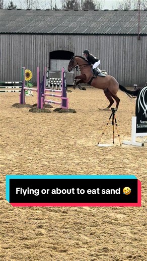 Backend goals I guess 🤷🏼‍♀️I thought I was about to fly into the sand 🤣 I would say he saved my arse but then he made me pay for it 🙈 #annalise💕 #teddy #naughty #bs