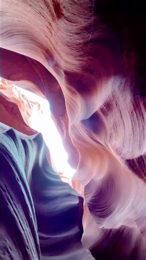 #antelopes#lasvegas#usa#2025#youtubeshorts#youtube#beauty#trip#jupiter#travelreels#traveler