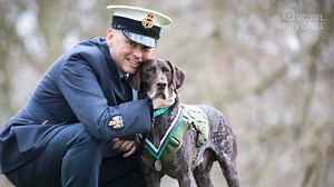 12K views · 731 reactions | Retired Royal Air Force Police Military...