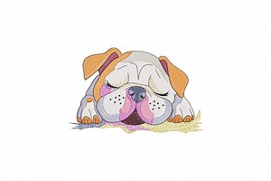 Sleeping Bulldog Embroidery Design, Sleeping Bulldog Machine Embroidery Design, 4 Sizes, Instant Download File - Etsy Canada