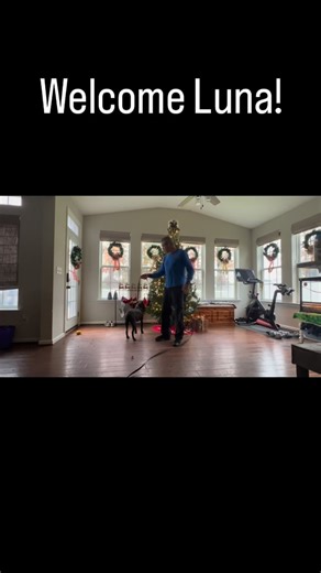 Welcome Luna to the Anchor Up K9 Academe family. Follow along and check out her transformation. #anchorupk9welcome | DeWayne Cabel