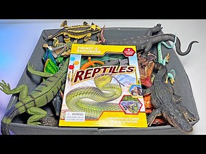 New Reptiles - Gila Monster, Crested Gecko, Saltwater Crocodile, Alligator, Komodo Dragon, Iguana