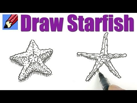 How to draw Starfish Real Easy