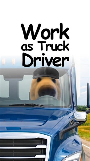 What it's like being a Truck Driver? Explained by doggie 🚛🐕