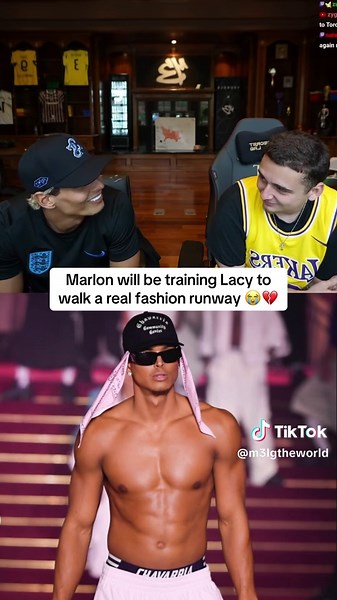 Train a Dog to Walk a Fashion Runway: Step-by-Step Tips