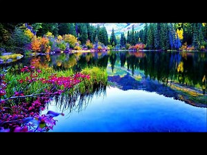 33K views · 693 reactions | Beautiful Nature | Beautiful Nature Pictures | Facebook