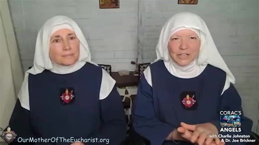 2.9K views · 96 reactions | WHAT IS A HERMIT, AND WHY BECOME ONE? We were interviewed recently by Charlie Johnston and Dr. Joe Brickner of CORAC, about life as a hermit, why we chose such a life, and what we are about. | I Love Jesus | Facebook