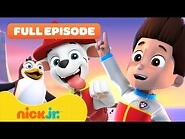 PAW Patrol Pups Save the Penguins! 🐧 FULL EPISODE - Nick Jr.