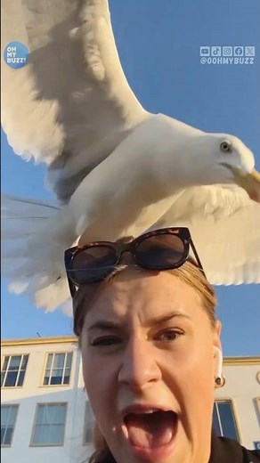 Funny Fails 😂😂😂 #shorts #funny #fail #viralvideo #shortsfunny