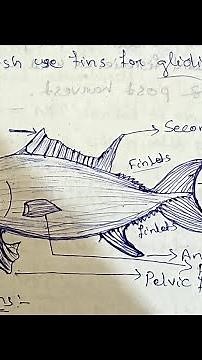 Fish and fisheries unit 1//Systematics, Morphology and physiology #zoology #notes