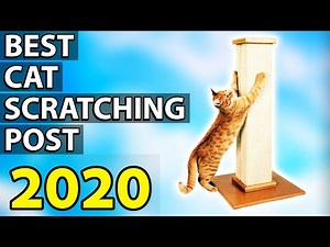 ✅ TOP 5: Best Cat Scratching Post 2020