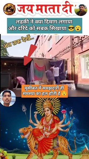 आसरा शेरावाली मां का | जय माता दी | trending video 😳😮#maadurga #jaimatadi #trendingvideo #shortvideo