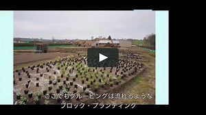 Piet Oudolf on Block, Matrix and Scatter - Japanese version