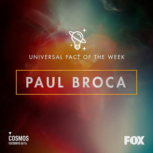 8K views · 657 reactions | Dive into the extraordinary discoveries made by the French physician, Paul Broca. 良 | Cosmos | Facebook