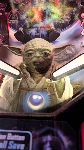 The Fort Fun Center - Amherstburg has some of the newest pinball machines available, and they work!!! #pinball #arcade #amherstburgevents | The Fort Fun Center - Amherstburg