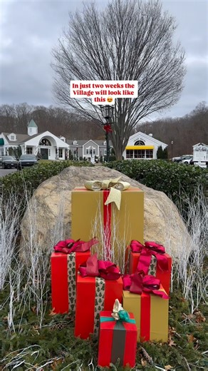 1.2K views · 466 reactions | We can't wait! ✨#stonybrookvillage | Stony Brook Village | Facebook