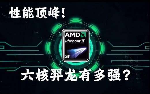 【硬件考古】AM3性能顶峰！六核羿龙有多强？