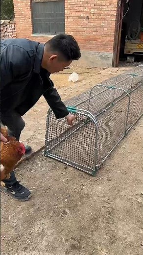 Movable Chicken Catching Tunnel | Easy Poultry Handling Tool