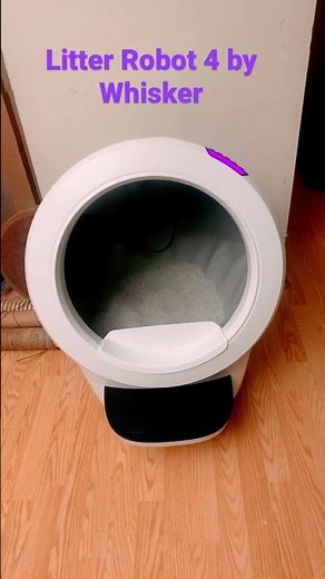 Litter Robot 4 Review - A Cat Lady’s Perspective