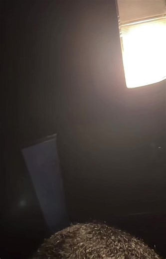 AKU,KAMU & IKEA Ada yang bagitahu pasal shower net? Ada yang pilih t-shirt untuk raya? Ada yang belikan air CBTL? #aikekanda #airina #karina #rina #kekanda