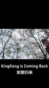 A beautiful woman's path was blocked by a vicious wolf! #金刚归来 #KingKongisComingBack #优酷电影 #youkumovie | Youku Movie